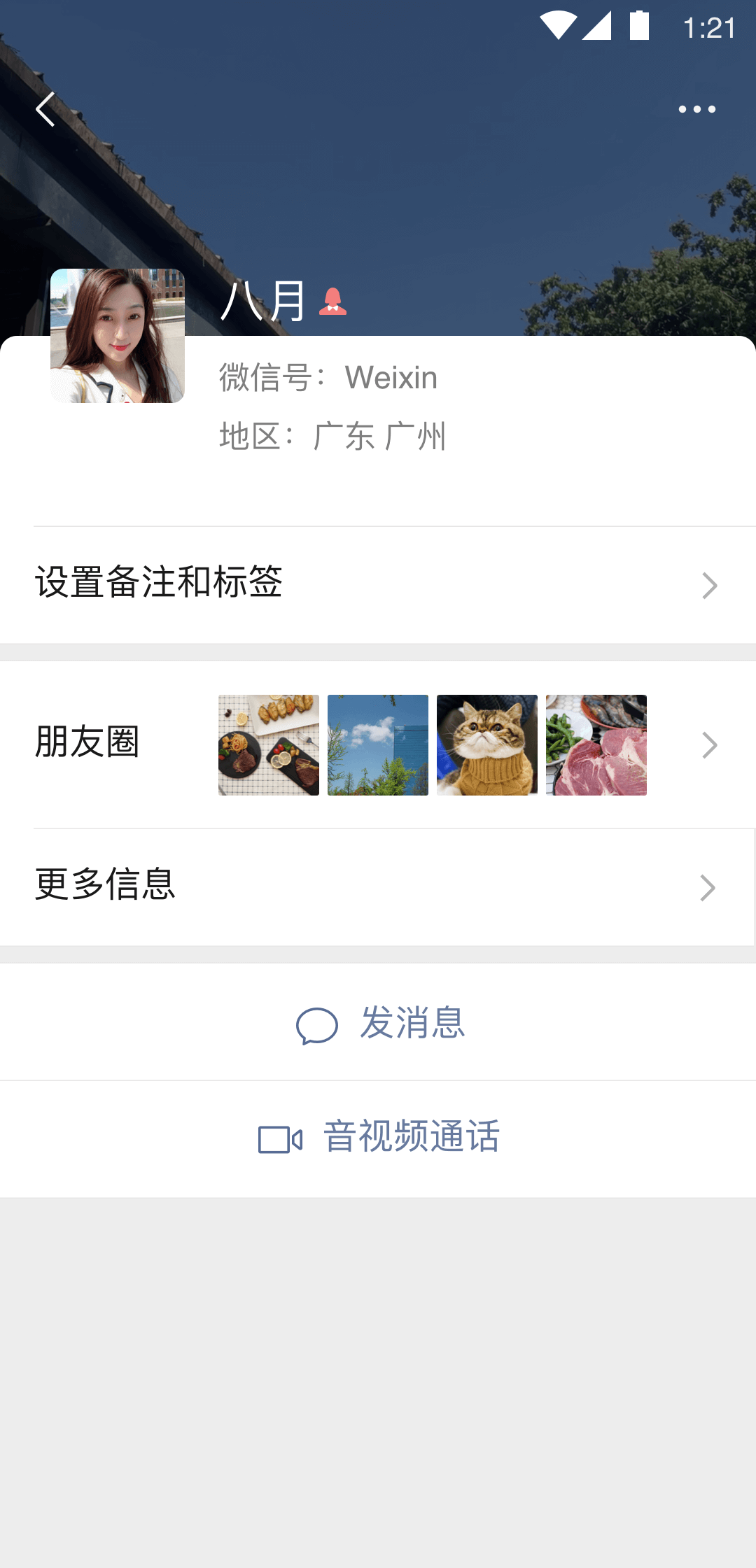 严厉女王收狗了截图